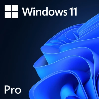 Windows 11 Professional